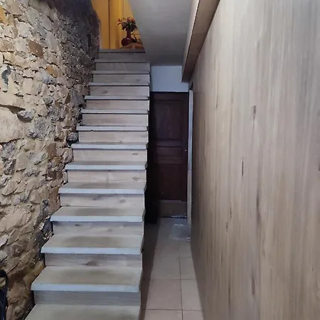 Le Champs Des Lievres