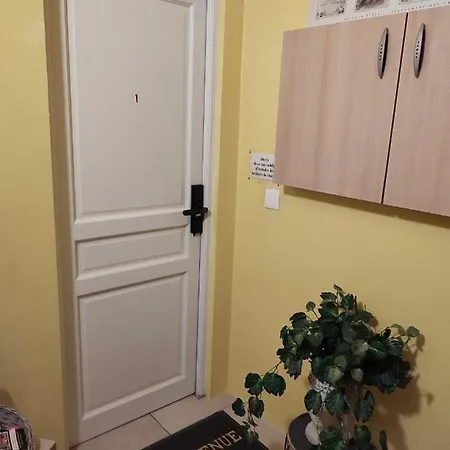 Le Champs Des Lievres *