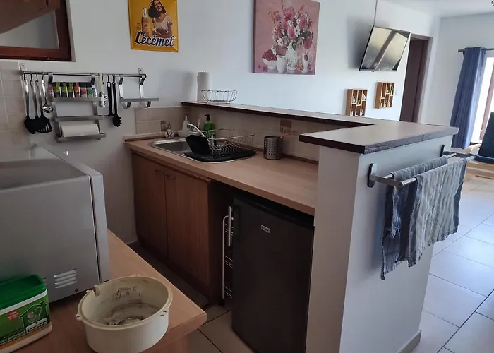 Le Champs Des Lievres *