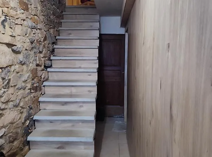 Le Champs Des Lievres